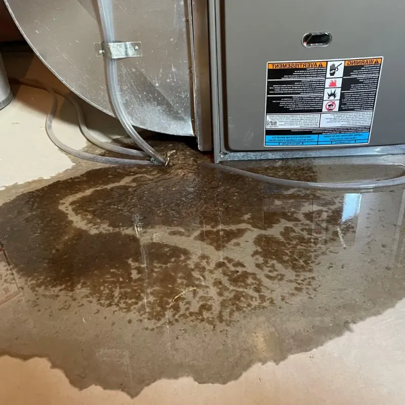Pipe Burst and Leak Restoration in Okanogan, WA